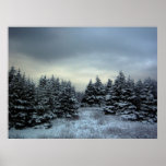 Affiche de tempête d'hiver