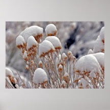 Affiche d'hiver