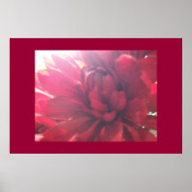 AFFICHE D'IMPRESSION AVEC LA FLEUR ROSE