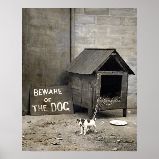 Affiche drôle de chien