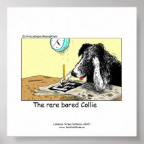 Affiche drôle unique de border collie