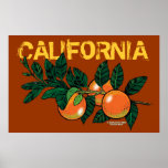Affiche énorme de la Californie "Califoranges"