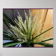 Affiche - Heather blanche et herbes