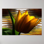 Affiche jaune de tulipe