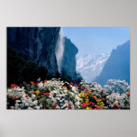 Affiche majestueuse