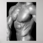 Affiche masculine de câble de coffre de culturiste