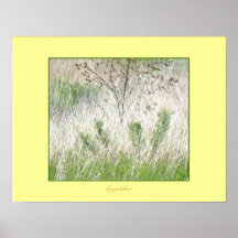 Affiche - mirage de Bush