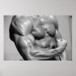 Affiche musculaire de coffre
