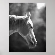 Affiche noire et blanche d'impression de cheval d'