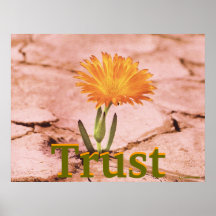 Affiche-Personnaliser rouillée de floraison de la 