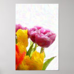 Affiche pourpre et jaune de tulipes