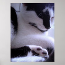 affiche somnolente de beauté