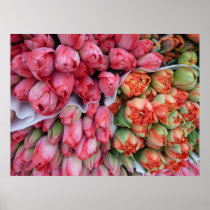 AFFICHE - tulipes au marché Lyon France