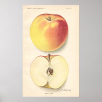 Affiche vintage d'Apple de banane