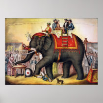 Affiche vintage de cirque - exécution de l'éléphan