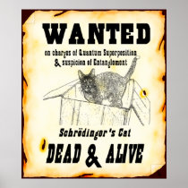 Affiche "voulue" du chat de Schrodinger