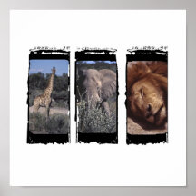 Afrika tryiptych posters