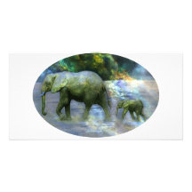 Afrikaanse Olifant Fotokaarten