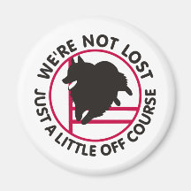 Agilité de Schipperke outre de cours Aimants