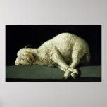 Agnus Dei, c.1635-40 Poster
