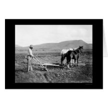 Agriculteur indien de Sacaton labourant 1911 Cartes