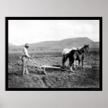 Agriculteur indien de Sacaton labourant 1911 Affiches