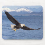 aigle chauve, leucocephalus de Haliaeetus, en vol  Tapis De Souris