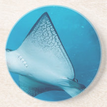 Aigle de mer Repéré Dessous De Verres