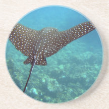 Aigle de mer Repéré Dessous De Verres