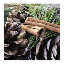 Aiguilles et cannelle de pin invitations