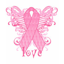 Ailes roses d'amour de ruban