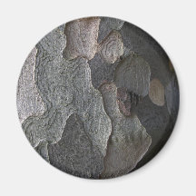 Aimant abstrait de macro d'écorce d'arbre