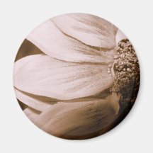 Aimant abstrait de tournesol