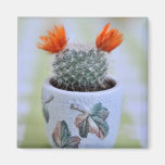 Aimant de cactus