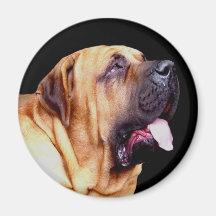 Aimant de chien de Fila Brasileiro