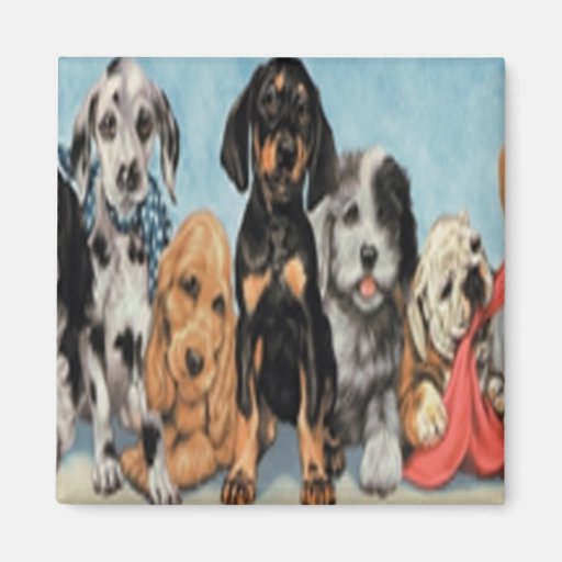 Aimant de chiens