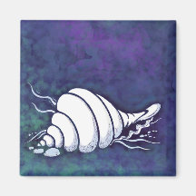 Aimant de coquilles