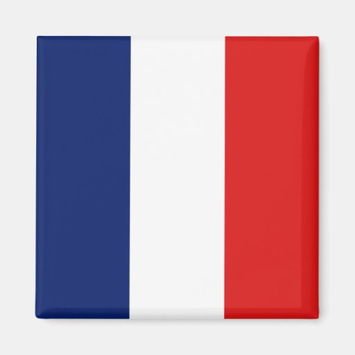 Aimant de drapeau de la France