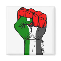Aimant de la Palestine magnets