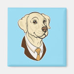 Aimant de Labrador