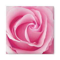 Aimant de Madame rose Rose - place