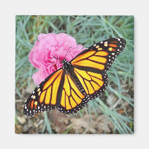 Aimant de papillon de monarque