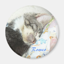 aimant de sommeil romeo