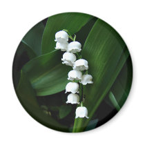 Aimant du muguet magnets