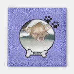 Aimant fait sur commande de chien
