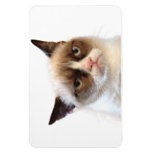 Aimant flexible de chat grincheux magnet souple