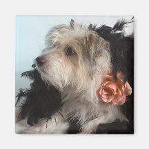 Aimant mignon de chiot