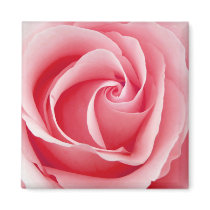 Aimant rose de Rose - place