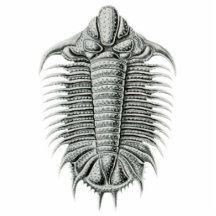 Aimant/sculpture de coupe-circuit de Trilobite Photo Sculptures