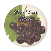 Aimant vintage de raisins
